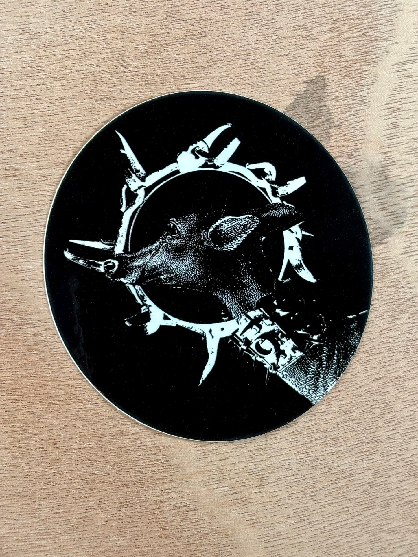 deer in wolf-collar - 3" sticker