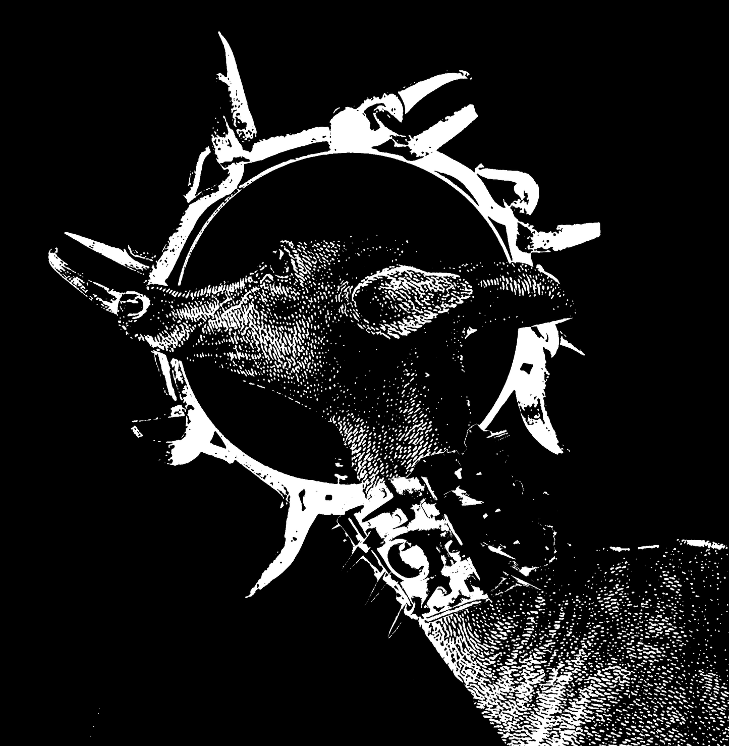 deer in wolf collar (art print - 10"x10")