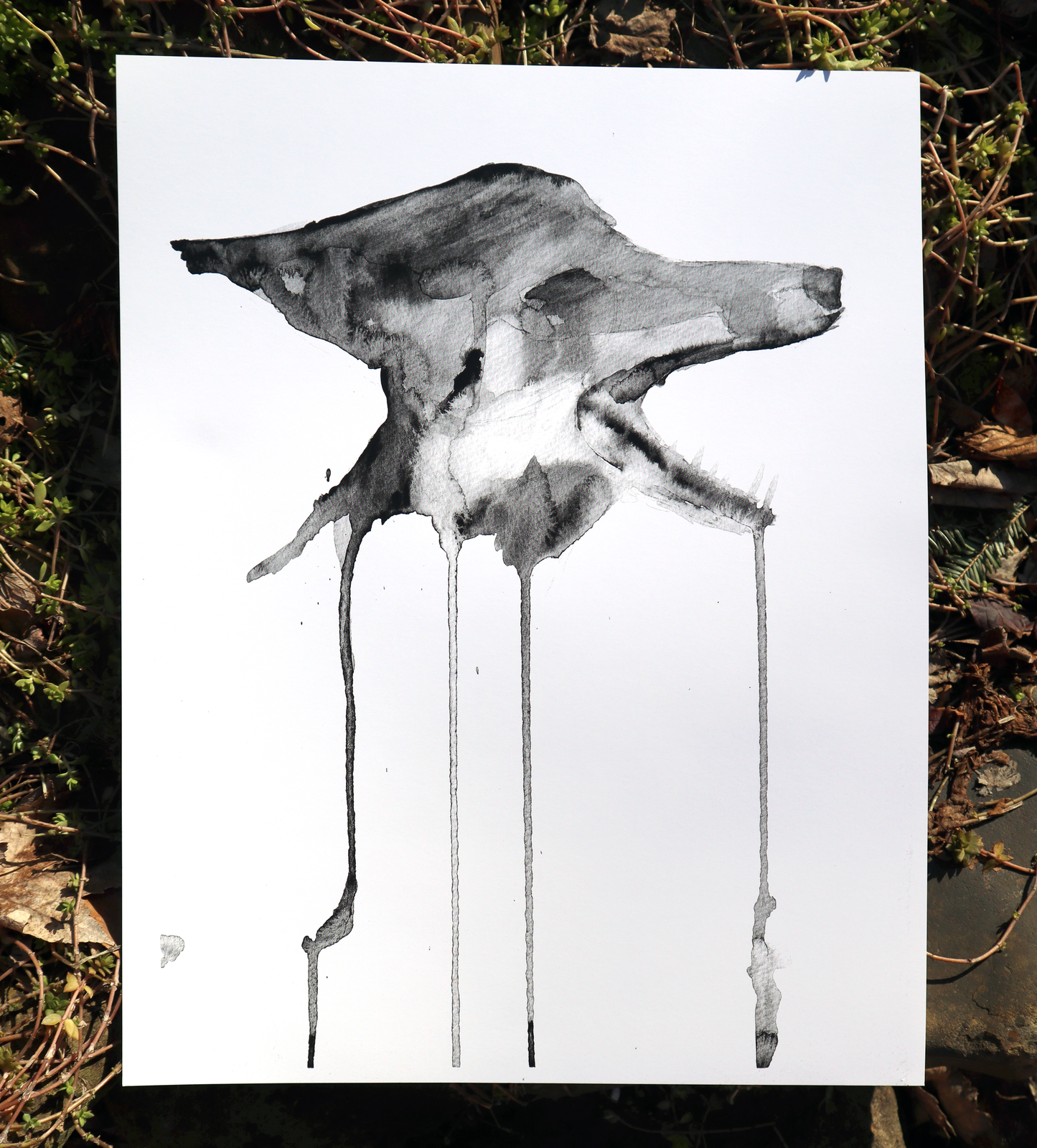 despair (fox art print - 11"x14")