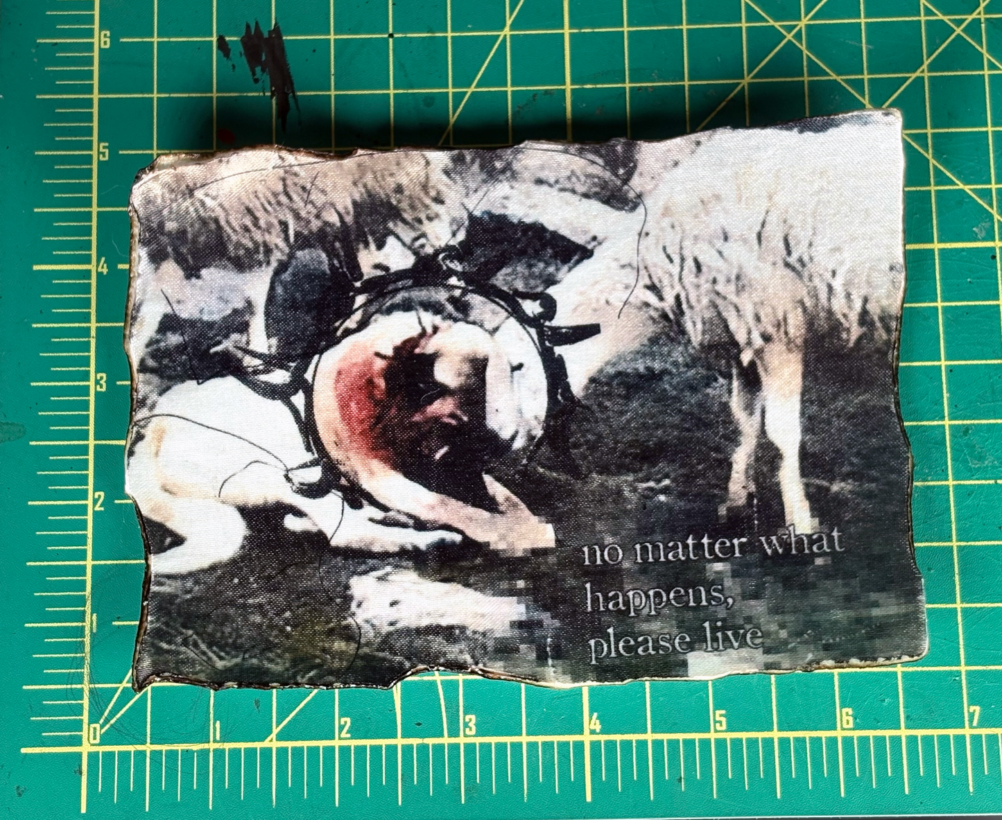 please live (5"x7" patch)